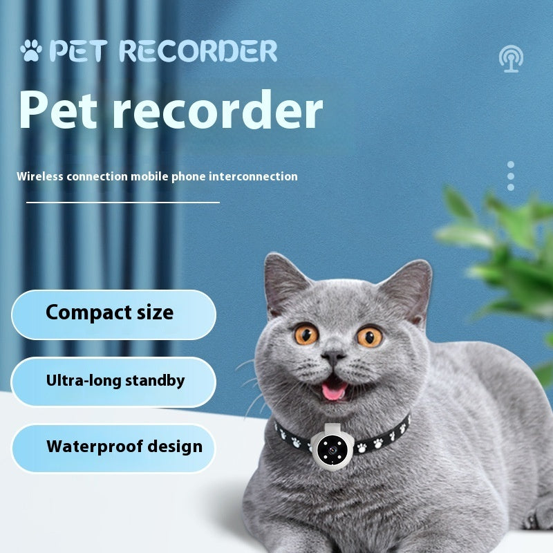 Angle Motion Recording Pets Recorder Collar