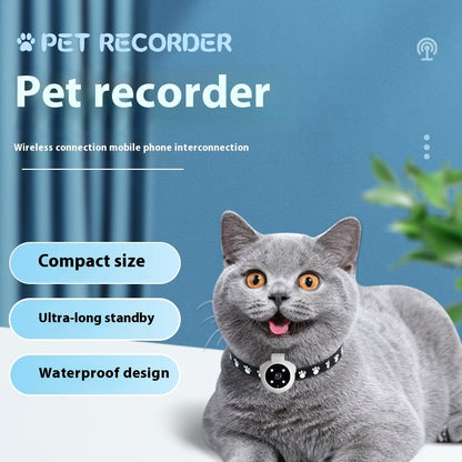 Angle Motion Recording Pets Recorder Collar