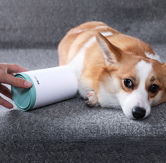 Portable Soft Silicone Pet Paw Cleaner