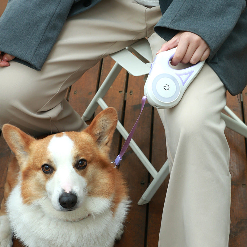 Retractable Spotlight Automatic Dog Leash