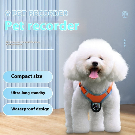 Angle Motion Recording Pets Recorder Collar