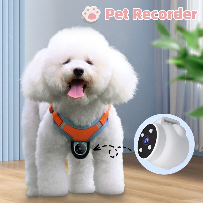 Angle Motion Recording Pets Recorder Collar