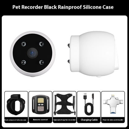Angle Motion Recording Pets Recorder Collar